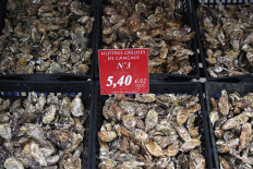 Climate change takes toll on French oyster farmers
