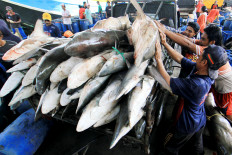 Distribution disruption hurts thousands of NTT fishermen