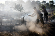 BNPB spokesperson laments theft of wildfire warning tools