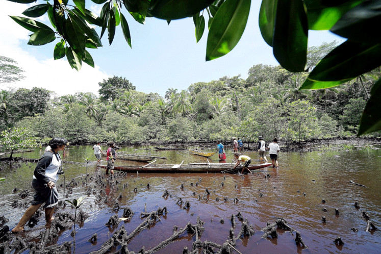 Gather around: The Sowek people search for aibon fruits in the Kasoni bay, a staple of their diet.

