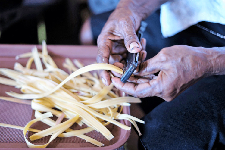 Work in progress: A Sowek woman peels the aibon fruits to be processed.
