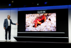 Tech firms see good times as flexible displays roll, and fold