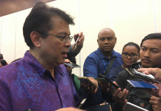 Japan helps design Central Sulawesi post-disaster development project