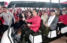 Jokowi to shed light on human rights abuse cases during debate