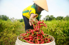 BPS records deflation in February