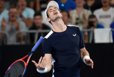 Battling Murray crashes out as Federer, Nadal fight on