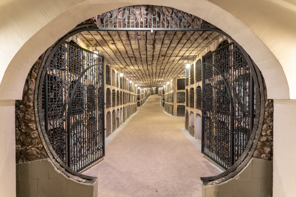 Moldova hosts 10 km race in world's largest wine cellar News The