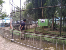 Taman Rimba Zoo in Jambi open to reform following deaths of tiger, lion