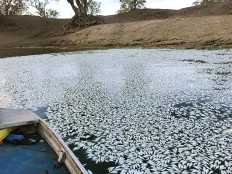 Australia puts chance of El Nino in 2023 at 70 percent