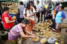 Jokowi tells oil palm tree growers to turn to durian