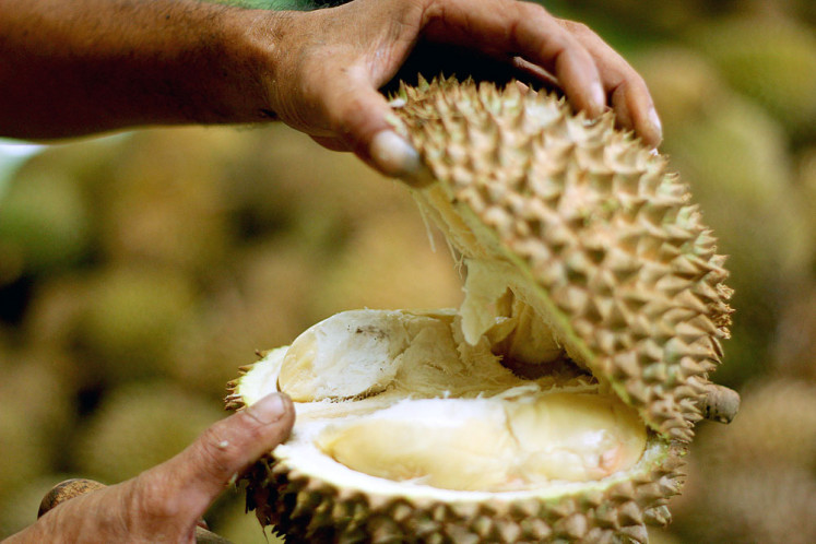 Stinky: A durian, which sells for between Rp 19,500 (US$1.40) and Rp 100,000 is pictured on Wednesday at a stall in Medan, North Sumatra.