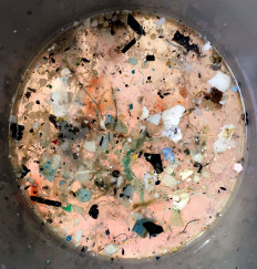 Time to stop the decline of the ocean’s health