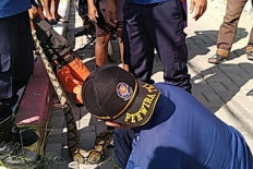 Python found trapped in Thousand Islands fishing net