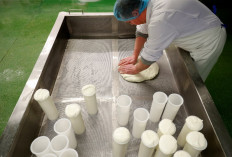 Dairy Production assistant Marcin Bednarek hand rolls the Mozzarella cheese in the dairy at Laverstoke Park Farm near Overton, Hampshire on February 6, 2019. 