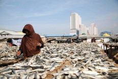 Why ocean sustainability matters to Indonesia