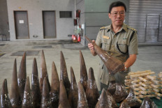 Hong Kong seizes $1m of rhino horn in record airport haul