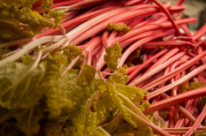 Forced rhubarb, which was harvested by candlelight, is stacked ready to be packed in to boxes for transportation on Robert Tomlinson's farm in Pudsey, near Leeds in northern England on February 12, 2019. 