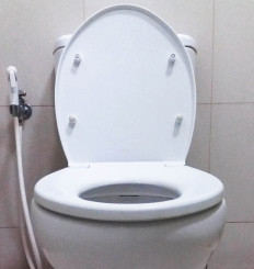 Indonesian, Japanese researchers find economic value in urine, feces