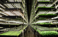 AeroFarms' vertical grow towers on February 19, 2019, in Newark, New Jersey. 