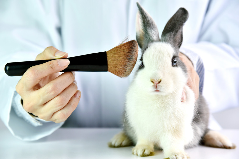 Makeup Academy Cosmetics Animal Testing  Saubhaya Makeup