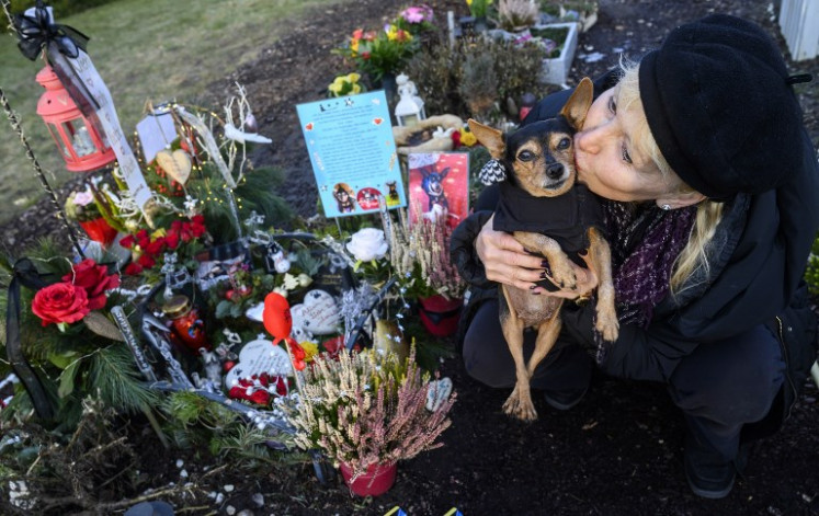 Pet owner Karla Lemke kisses her 15-year-old female miniature Pinscher Scarlet, as she visits the grave of her male miniature Pinscher 'Alien' at the Tierhimmel ('Animal Heaven') crematorium and pet cemetery in Teltow, just outside Berlin, on January 31, 2019. 