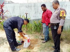 23 cats die from alleged poisoning, shocking Balikpapan residents