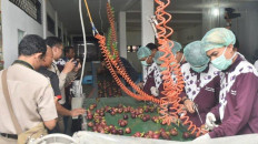 Indonesia gets green light to export tropical fruits to Argentina