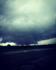 Tornado kills 14 in US state of Alabama: Officials