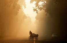 A man rides a rickshaw on a smoggy morning in New Delhi, India, December 26, 2018. 