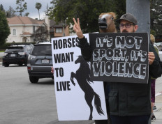 Santa Anita halts racing after 21st horse dies at track