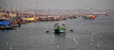 Flock to the river: Migratory birds from Siberia are seen in the Ganges alongside boats during the Kumbh Mela. JP/PJ Leo