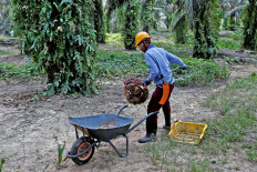 Making sustainable consumption of palm oil the norm in Asia