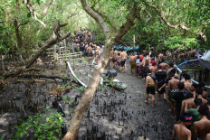 Traditional Balinese mud bath draws the crowds