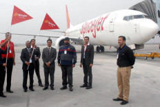 Indian airline defends 'sophisticated' Boeing 737 MAX