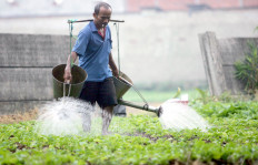  Private sector key to empowering farmers, experts say