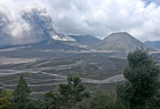 Foreign tourist allegedly gets physical with Mount Bromo ranger