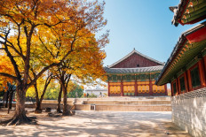 Seoul hosts tours at royal palaces