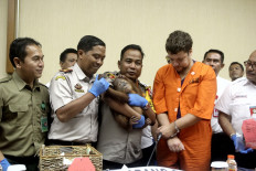 Russian faces 5 years in prison for trying to smuggle baby orangutan 