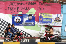 Choose your representative: Don’t send just any cat to Senayan