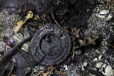 Aztec war sacrifices found in Mexico may point to elusive royal tomb