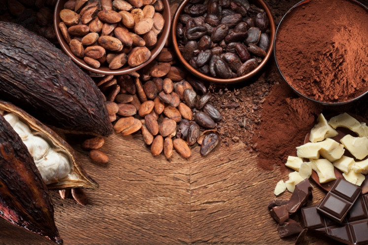 A stock illustration shows the different stages of cacao processing, from cacao pods (left) to chocolate.