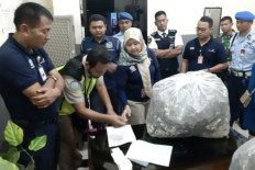 Attempt to smuggle 7,040 dried seahorses to Bangkok foiled