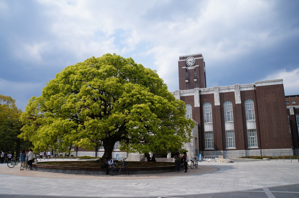 Kyoto University remains top of Japanese university rankings in 2019 - The  Jakarta Post