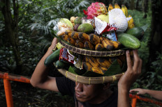 Giving thanks: A Magelang resident carries fruit and snacks. JP/Magnus Hendratmo