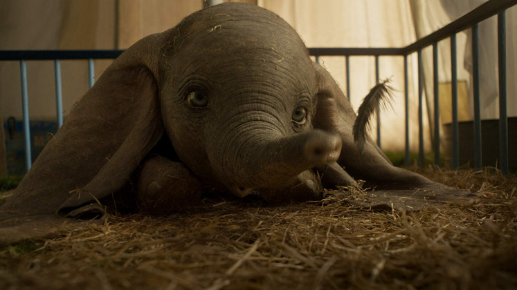 Fantastic pachyderm: Dumbo is based on the 1941 Disney cartoon of the same name.