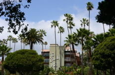 LA officials call for boycott of Brunei-owned hotels