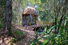 Tiny wooden cabin is world's most popular Airbnb
