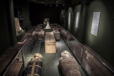 Mummified mice and more in latest Egyptian tomb discovery