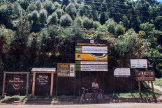 US tourist, guide, kidnapped in Uganda freed after ransom paid: Safari firm