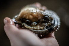 Pearls of wisdom: Japan's cultured farms still glisten